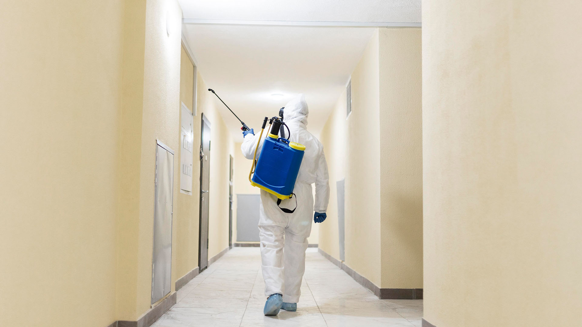 Tahta Kurusu Yumurtası Kaç Günde Çıkar? Kuluçka Süresi ve Tespit